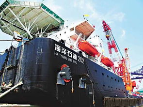 2019上海 打造國(guó)家級(jí)工業(yè)互聯(lián)網(wǎng)創(chuàng)新示范城市，建設(shè)30個(gè)標(biāo)桿工廠與海洋工程裝備研發(fā)新突破