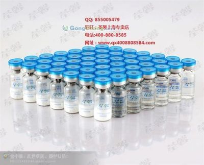 河源市委老干部局 傳承紅色基因，服務銀發群體的重要力量